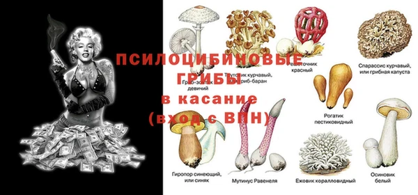 каннабис Ессентукская