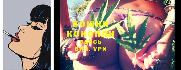 спиды Покровск